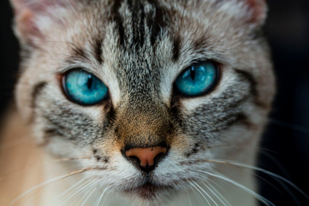 a0d9b472 1c6a 4560 a3ce 8d979d7264bb 1 105 c